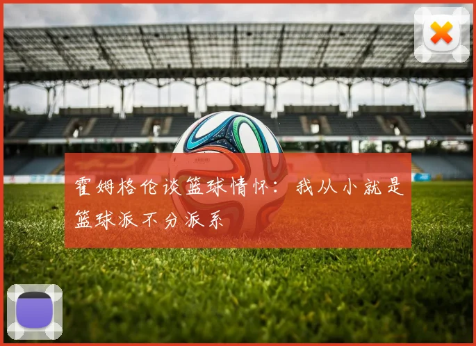 霍姆格伦谈篮球情怀：我从小就是篮球派不分派系