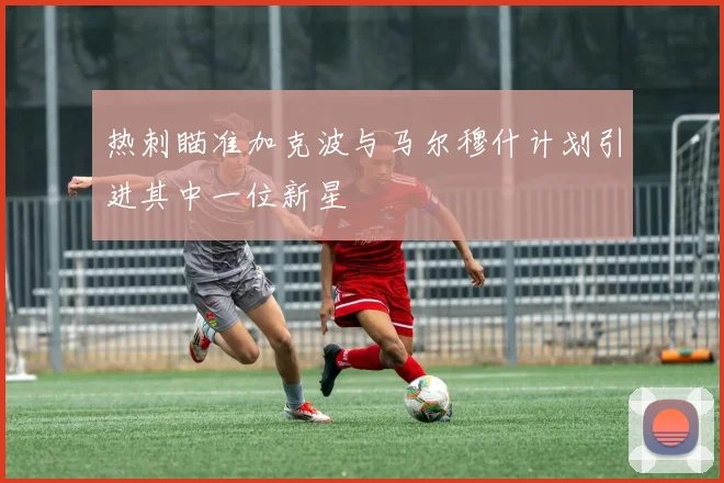 热刺瞄准加克波与马尔穆什计划引进其中一位新星